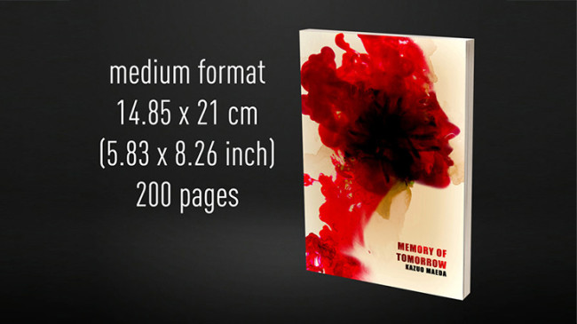 Babel Book Test 4 by Vincent Hedan (Memory of tomorrow), medium, 600 pages