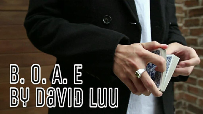 Blink Of An Eye by David Luu - Video - DOWNLOAD