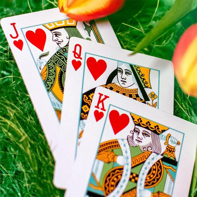 Butterfly Seasons Playing Cards - Spring  (marked)