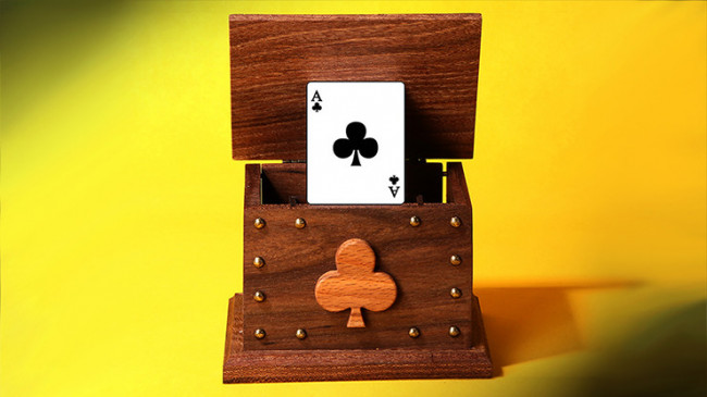 CARD IN THE AIR by Tora Magic - Kartensteiger Zaubertrick