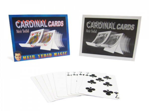 Cardinal Cards - Bicycle