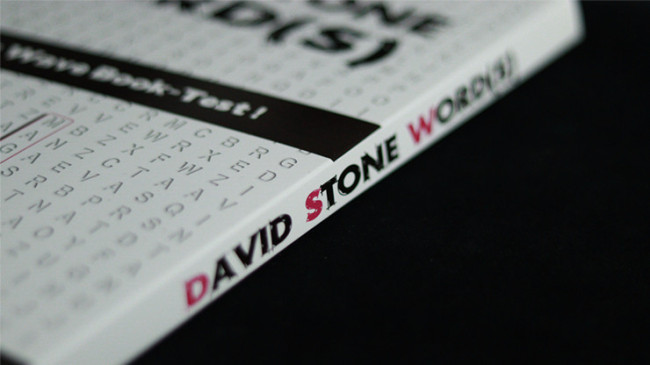 David Stone's Words (Spanish Version)