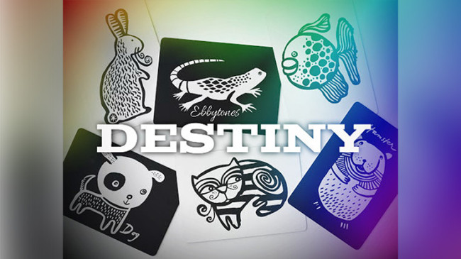 Destiny by Ebbytones - Video - DOWNLOAD