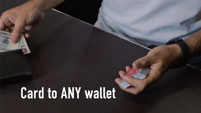 Divisa by Adrian Vega