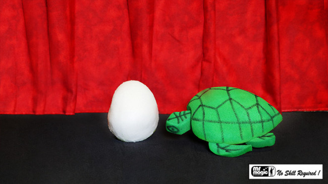 Egg to Tortoise (Sponge) by Mr. Magic