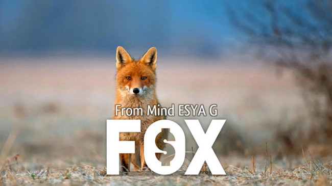 FOX by Esya G - Video - DOWNLOAD