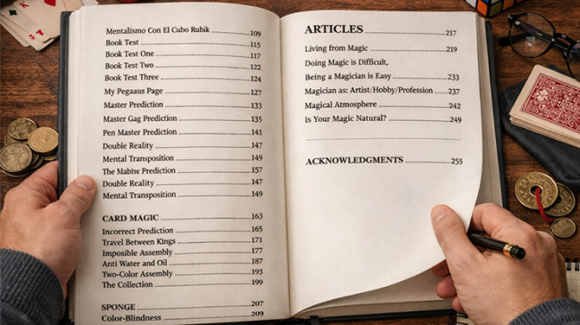 From Idea to Stage :The Magic of Smayfer - Buch