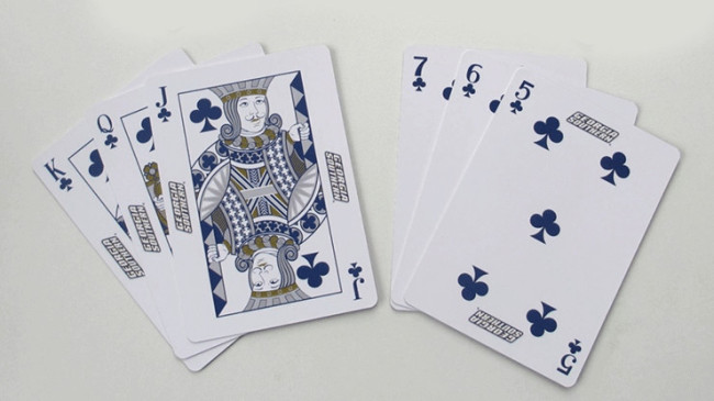 Georgia Southern Playing Cards