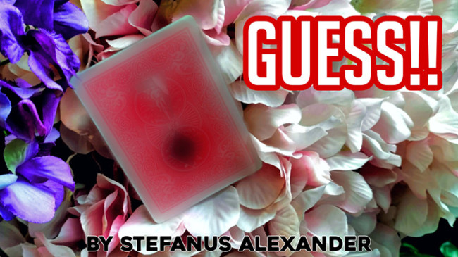 GUESS by Stefanus Alexander - Video - DOWNLOAD