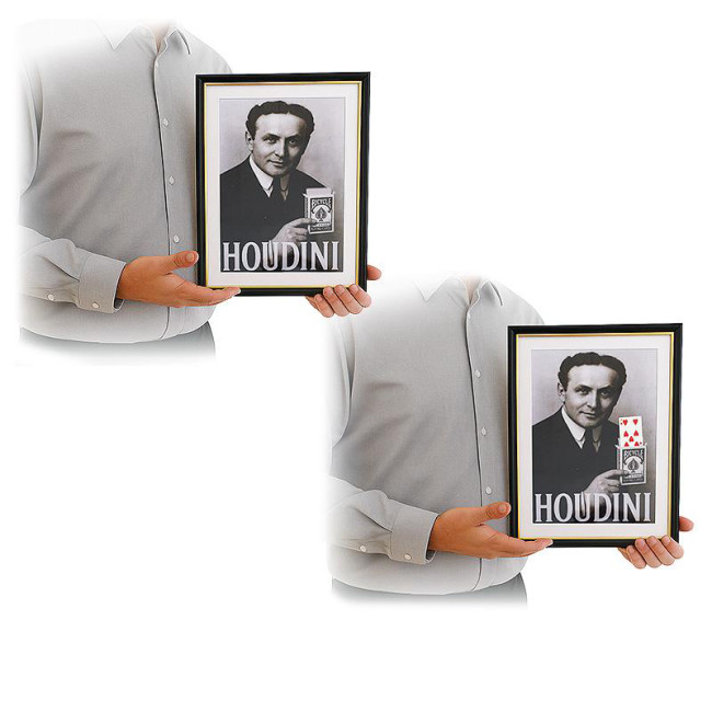 Houdini Prediction Frame - Bühnentrick