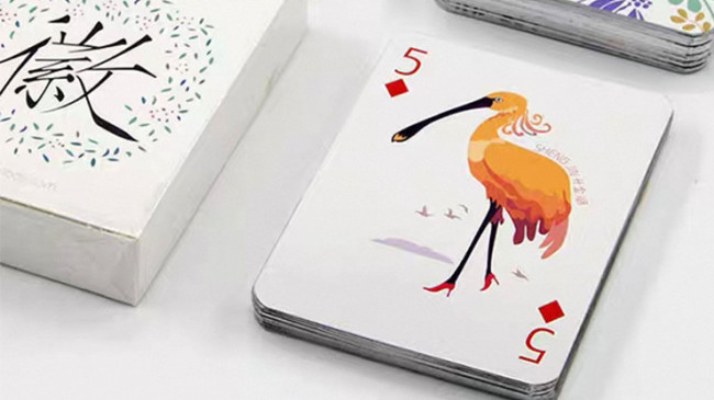 Illustration Poker - Pokerdeck