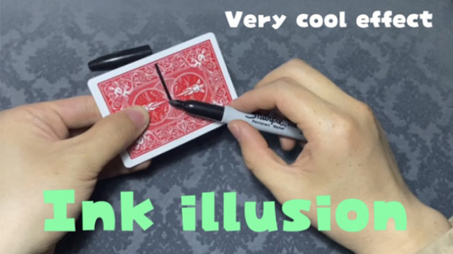Ink Illusion by Dingding - Video - DOWNLOAD