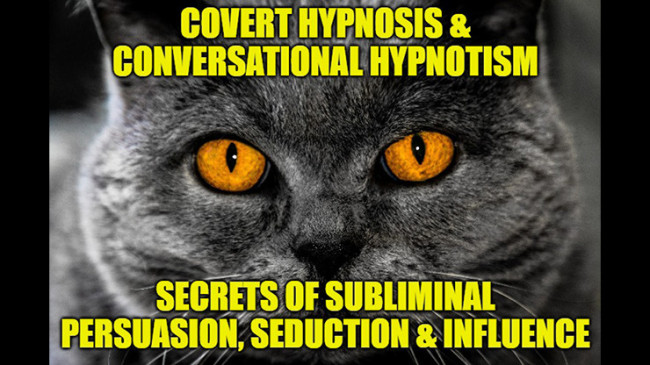 INTERPERSONAL NEURAL SYNCHRONYCovert Hypnosis, Conversational Hypnotism, Influence, Persuasion, Negotiation,Rapid Seduction & NLP Mind Control Secrets for Therapeutic Change, Pleasure,Profit, Entertainment & Success in Life By Dr. Jonathan Royle & Mr. Pau