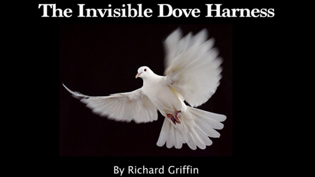 Invisible Dove Harness by Richard Griffin