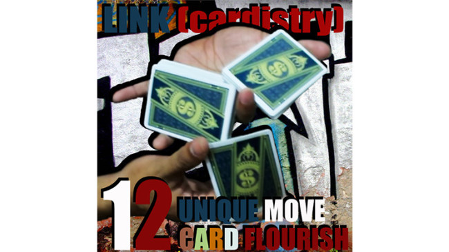 LINK (Cardistry Project) by SaysevenT - Video - DOWNLOAD