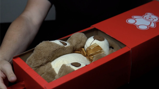 MAGIC BOX RED Medium by George Iglesias and Twister Magic