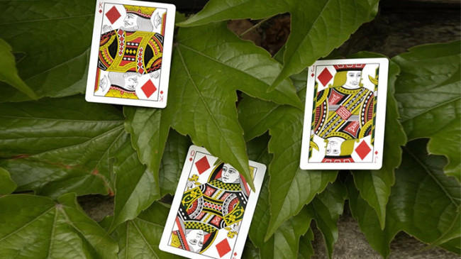 Mantis (Marked) - Pokerdeck - Markiertes Kartenspiel