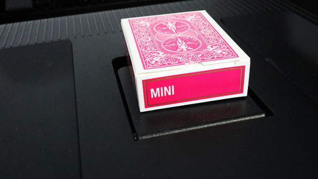 Mini Bicycle Cards (Fuchsia)