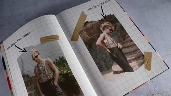 Never Mind the Bollocks by Etienne Pradier - Buch