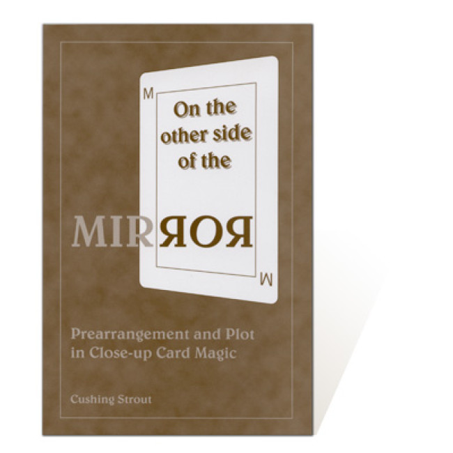 On the Other Side of the Mirror by Cushing Strout - Buch