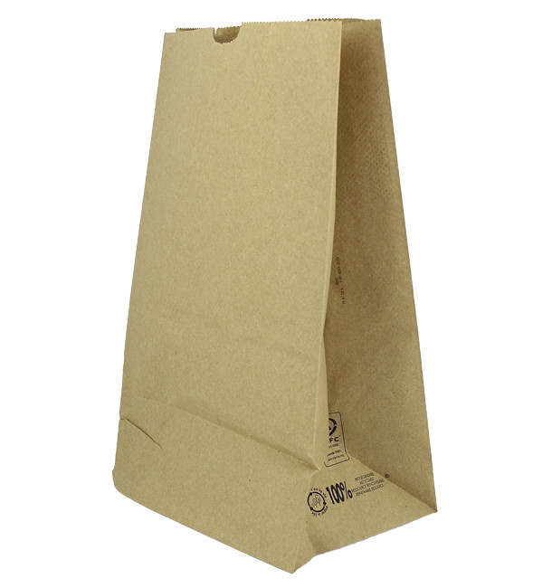 Papiertüten - Braun - Paper Bags - 10 Stück - 18+12x29 cm, 50g/m² - ERSATZ für Refilled und Cube in Bottle