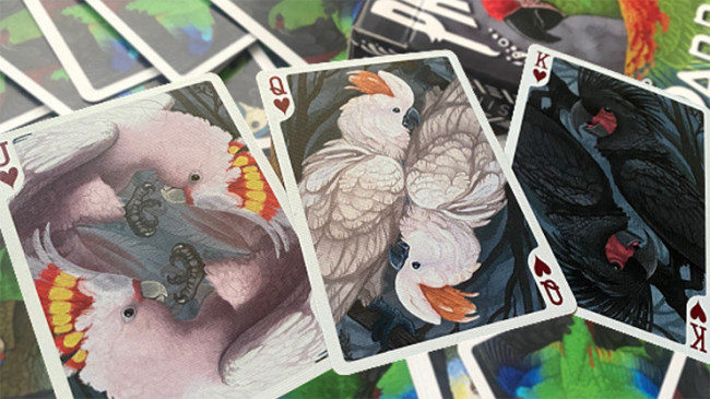 Parrot Prototype - Pokerdeck
