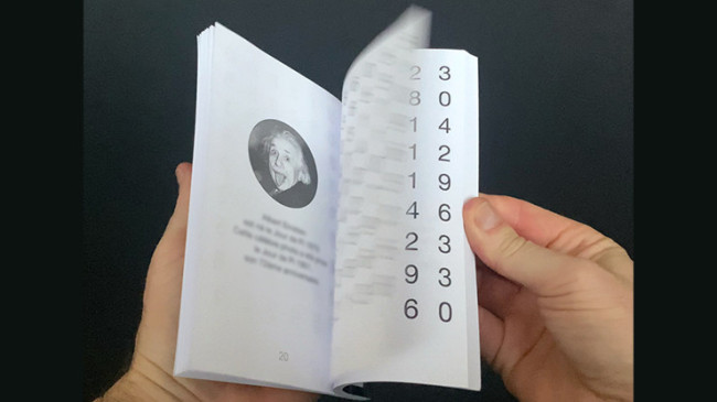 Pi MAX Book Test by Vincent Hedan - Buch