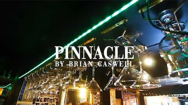 Pinnacle by Brian Caswell