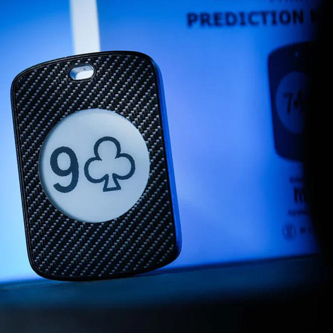 PITATA Prediction Keychain - Bühnentrick