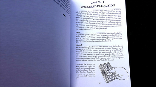 Prestidigitator by Brian Caswell - Buch