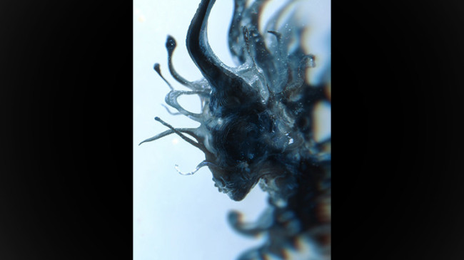 Progeny by Fraser Parker - Buch