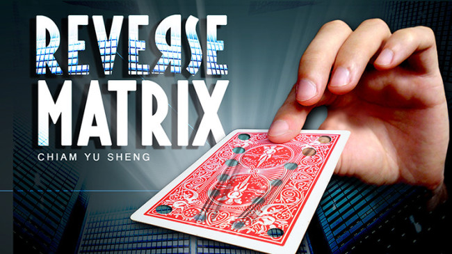 REVERSE MATRIX RED by Chiam Yu Sheng