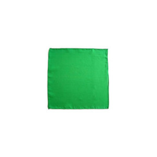 Seidentuch - Grün - 20 cm