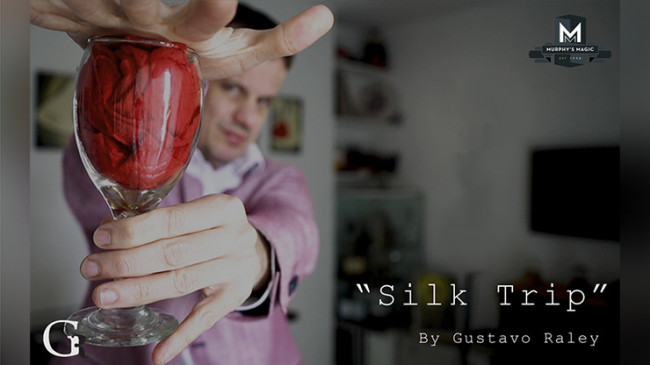 Silk Trip by Gustavo Raley - Video - DOWNLOAD
