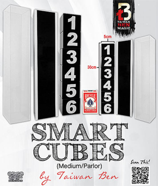 Smart Cubes (Mittel/Salon) by Taiwan Ben - Reihenfolge der Würfel verändern - Kubusspiel