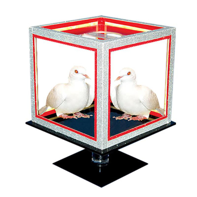 Special Disappearing Dice by Tora Magic