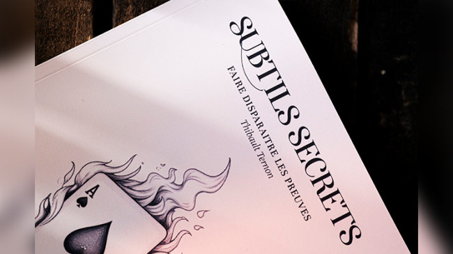 Subtle Secrets 1 by Thibault Ternon - Buch