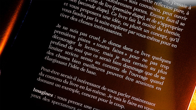 Subtle Secrets 1 by Thibault Ternon - Buch