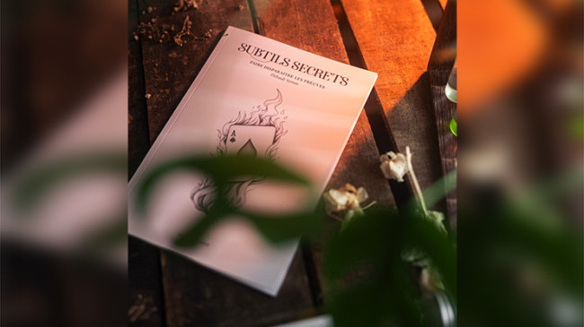 Subtle Secrets 1 by Thibault Ternon - Buch