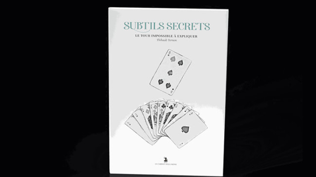 Subtle Secrets 2 by Thibault Ternon - Buch