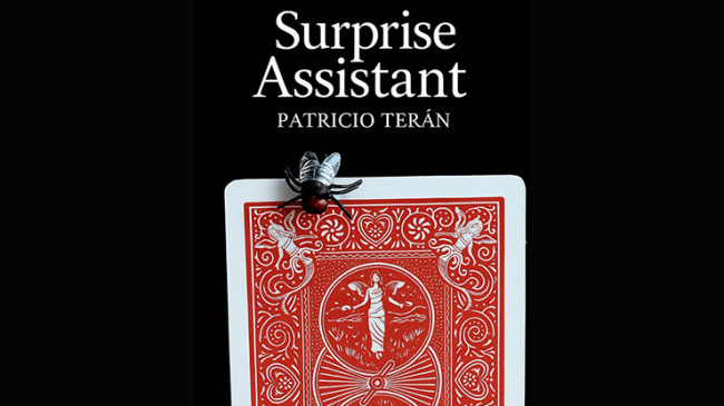 Surprise Assistant by Patricio Teran - Video - DOWNLOAD