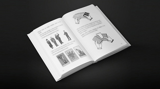 The Devil's Tarot by Vincent Hedan (Marseille) - Buch