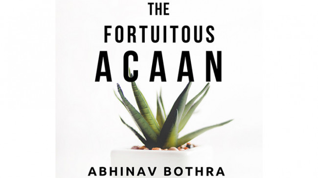 The Fortuitous ACAAN by Abhinav Bothra - Mixed Media - DOWNLOAD