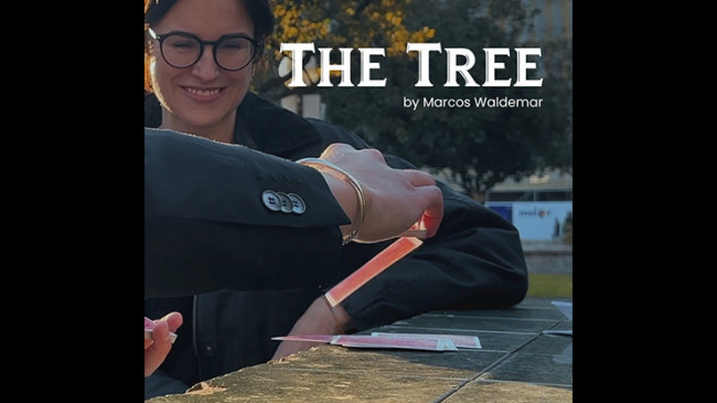 THE TREE by Marcos Waldemar & Invisible Compass - Video - DOWNLOAD