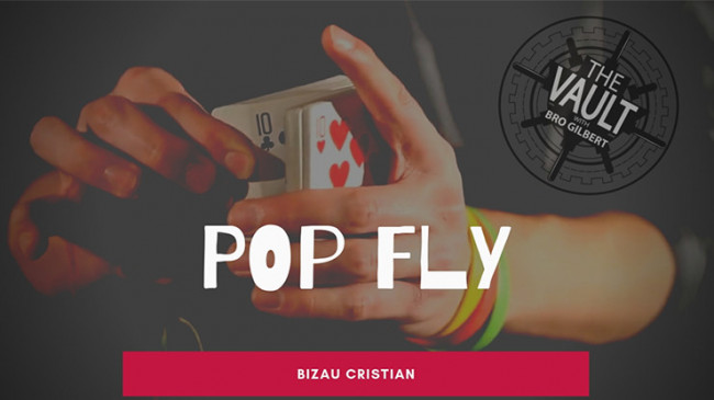 The Vault - Pop Fly by Bizau Cristian - Video - DOWNLOAD