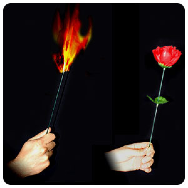 Torch to Rose - Easy - Zaubertrick