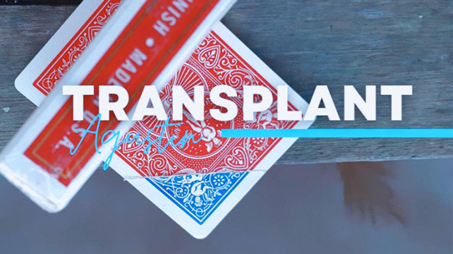 Transplant by Agustin - Video - DOWNLOAD