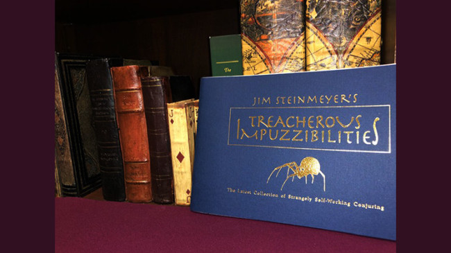 Treacherous Impuzzibilities by Jim Steinmeyer - Buch