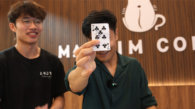 Tricky Raccoon by Liang Kuai & Amor Magic