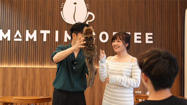 Tricky Raccoon by Liang Kuai & Amor Magic